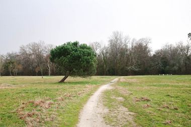Parc Saint Albe de Gradignan - Ali Koç Photographe.